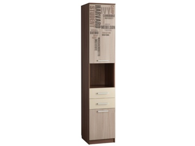 Шкаф комбинированный МАНХЭТТЕН 1